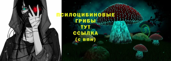 ECSTASY Балахна