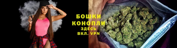 ПСИЛОЦИБИНОВЫЕ ГРИБЫ Балабаново